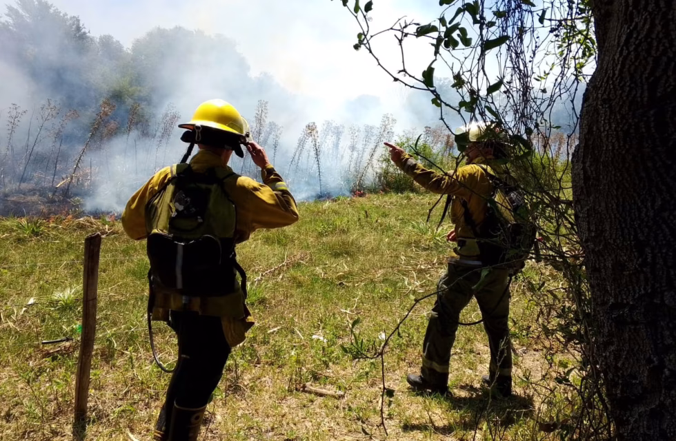 WhatsApp Image 2025-02-01 at 17.17.19