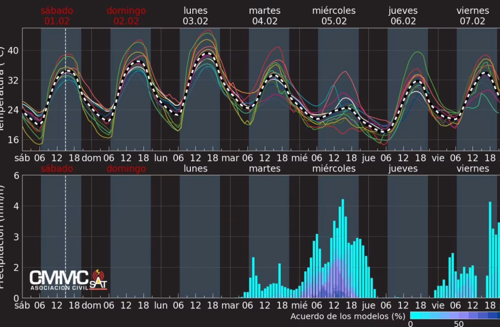 WhatsApp Image 2025-02-01 at 17.55.15