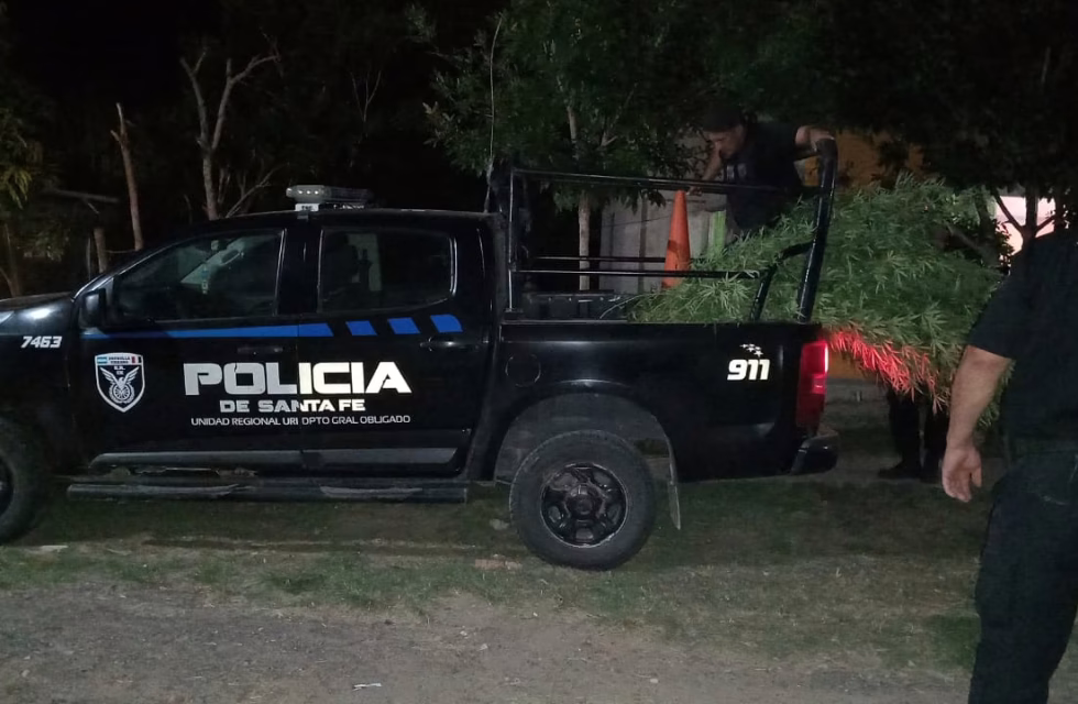 WhatsApp Image 2025-02-07 at 13.08.42