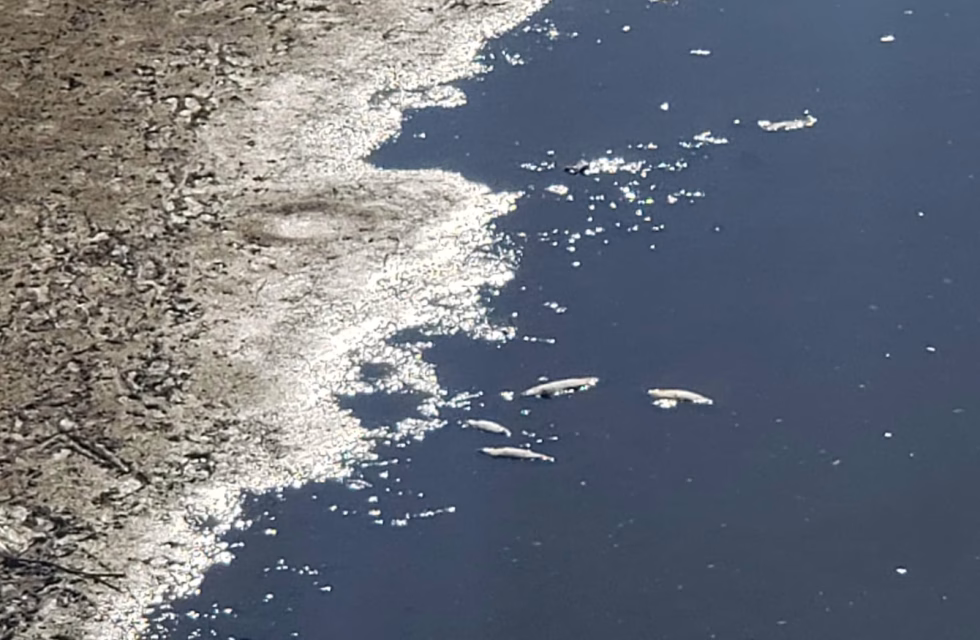 WhatsApp Image 2025-02-10 at 09.07.53