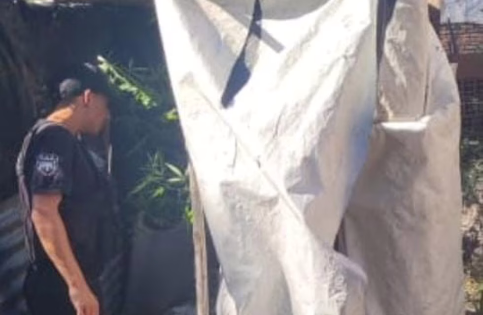 WhatsApp Image 2025-02-11 at 20.13.11