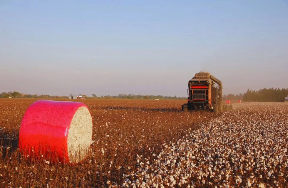 WhatsApp Image 2025-02-14 at 08.47.44