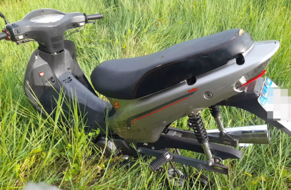 WhatsApp Image 2025-02-15 at 2.26.37 PM