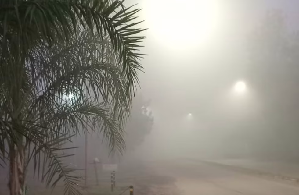 WhatsApp Image 2025-02-18 at 07.04.44