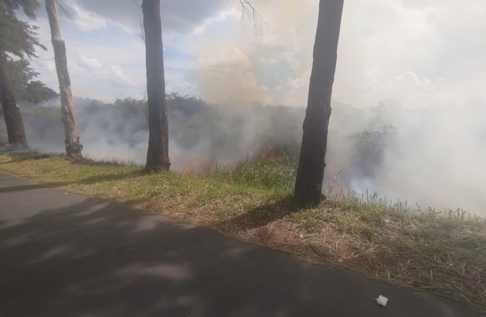 WhatsApp Image 2025-02-22 at 18.23.13