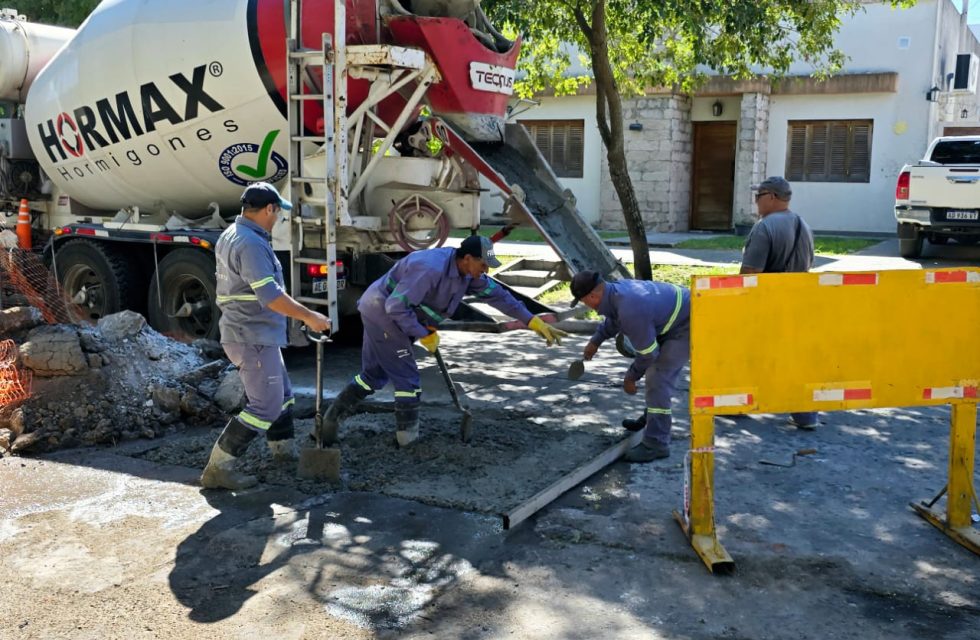 WhatsApp Image 2025-03-19 at 11.30.17