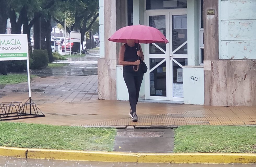 WhatsApp Image 2025-03-25 at 07.39.57