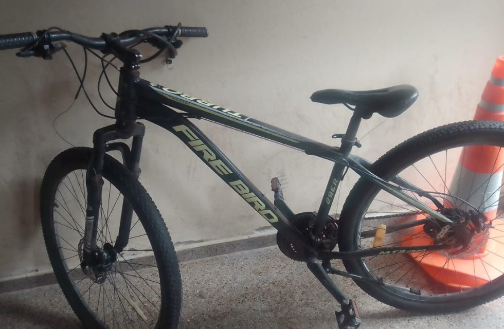 WhatsApp Image 2025-03-28 at 20.13.44