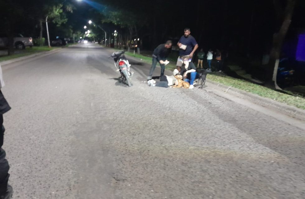 WhatsApp Image 2025-04-02 at 20.54.35