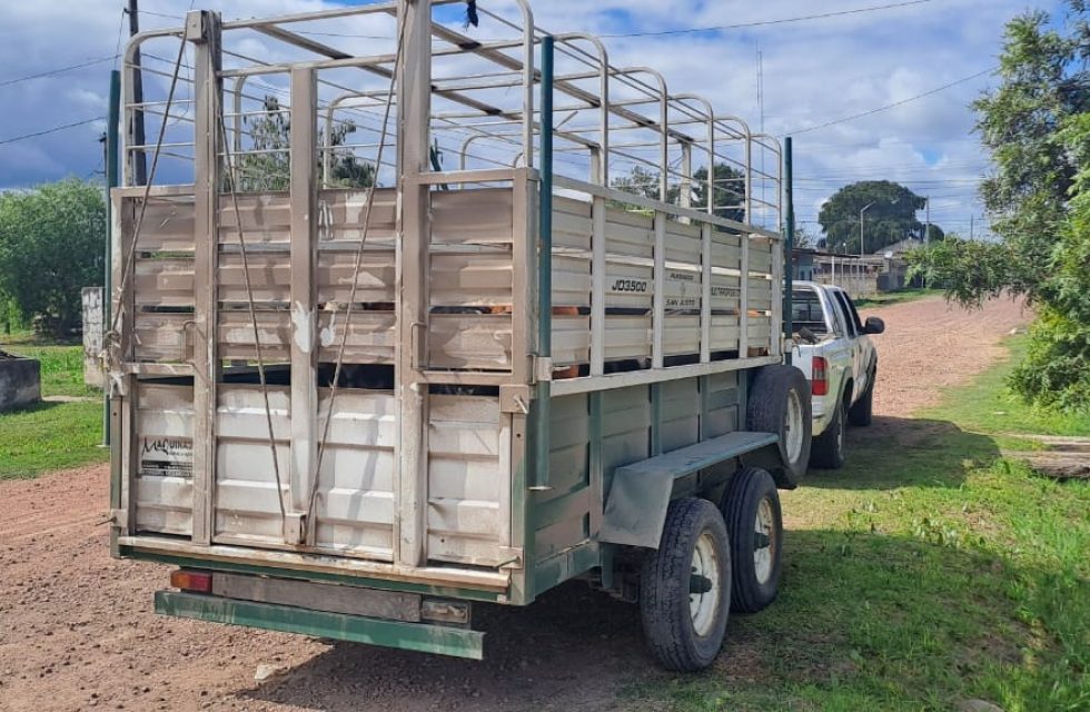 WhatsApp Image 2025-04-26 at 19.30.09