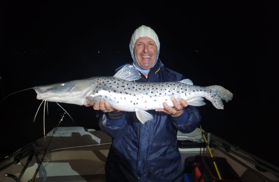 Surubí Goya 2025 WhatsApp Image 2025-05-04 at 8.31.26 AM Surubí Goya 2025 WhatsApp Image 2025-05-04 at 8.31.26 AM