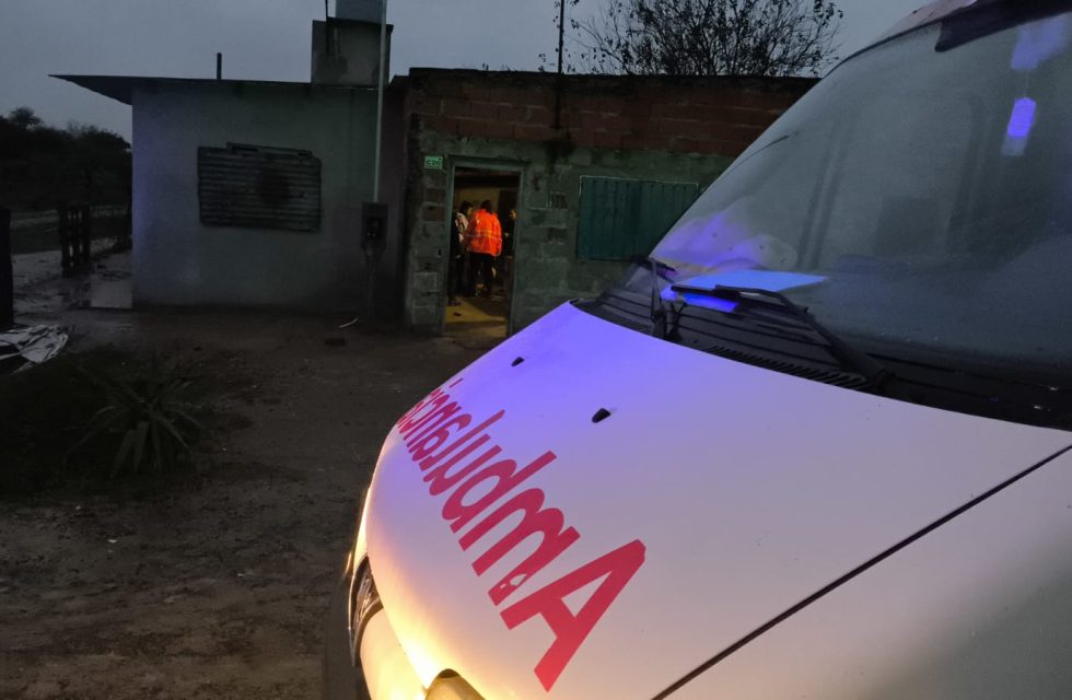 WhatsApp Image 2025-05-24 at 20.41.30