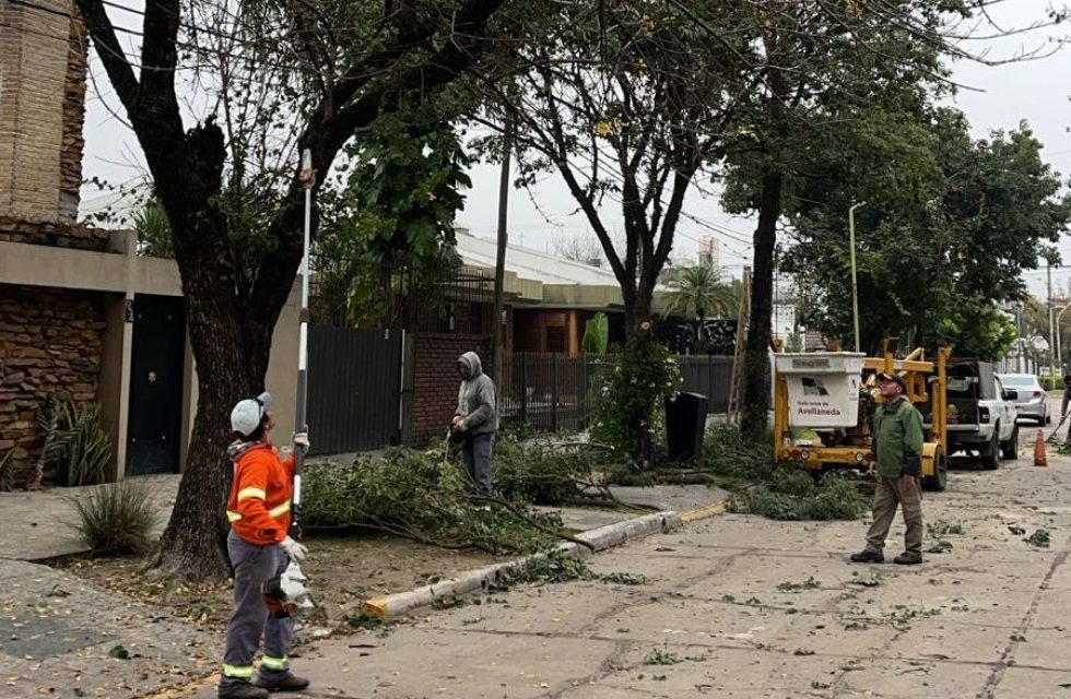 WhatsApp Image 2025-06-06 at 08.51.03