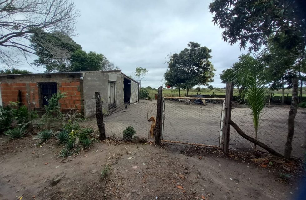 WhatsApp Image 2025-06-15 at 19.34.28