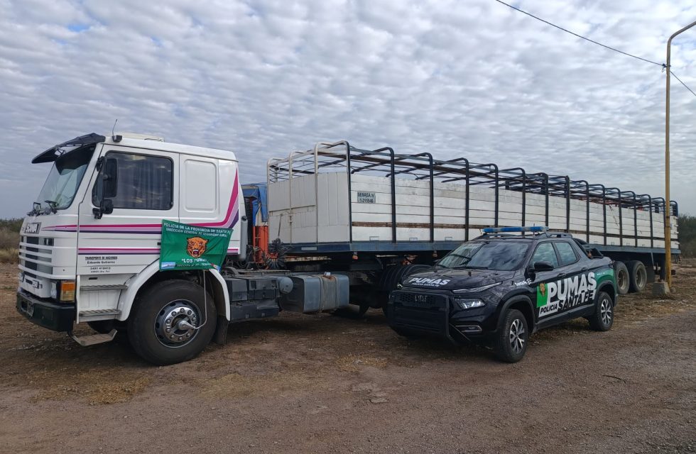 WhatsApp Image 2025-07-11 at 09.29.12