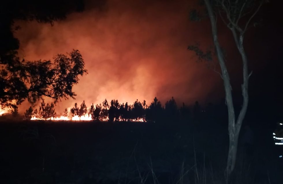 WhatsApp Image 2025-07-20 at 8.15.32 PM (2)