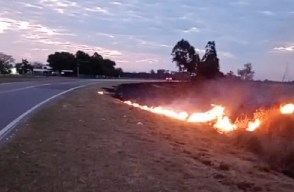 incendio de pastos