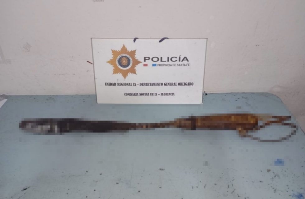 WhatsApp Image 2025-09-14 at 14.59.38 (1)