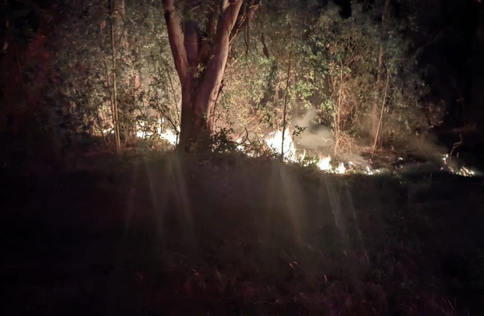 incendio forestal