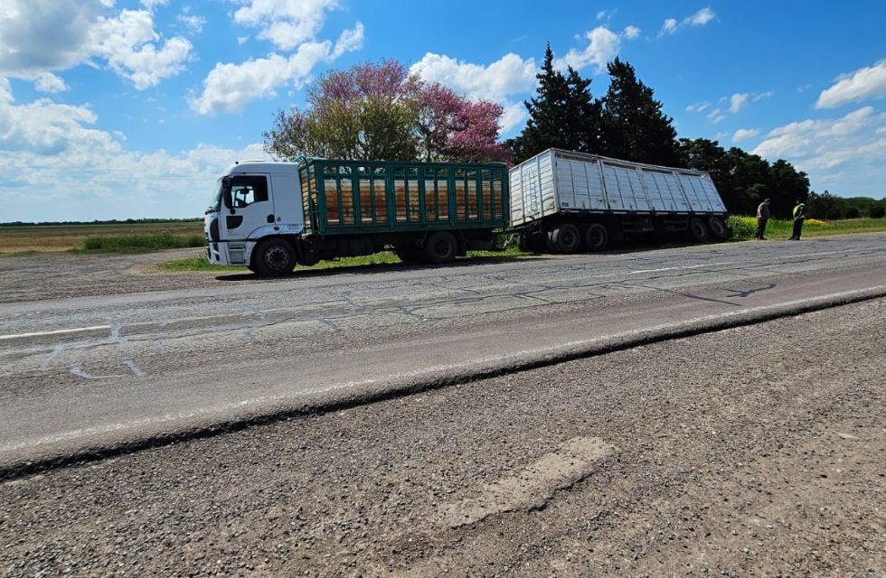 WhatsApp Image 2025-10-04 at 20.19.27