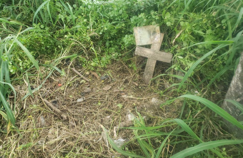 WhatsApp Image 2025-10-06 at 08.17.08 (1)