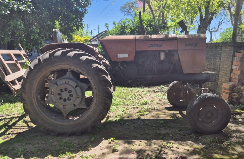 WhatsApp Image 2025-10-08 at 20.30.44