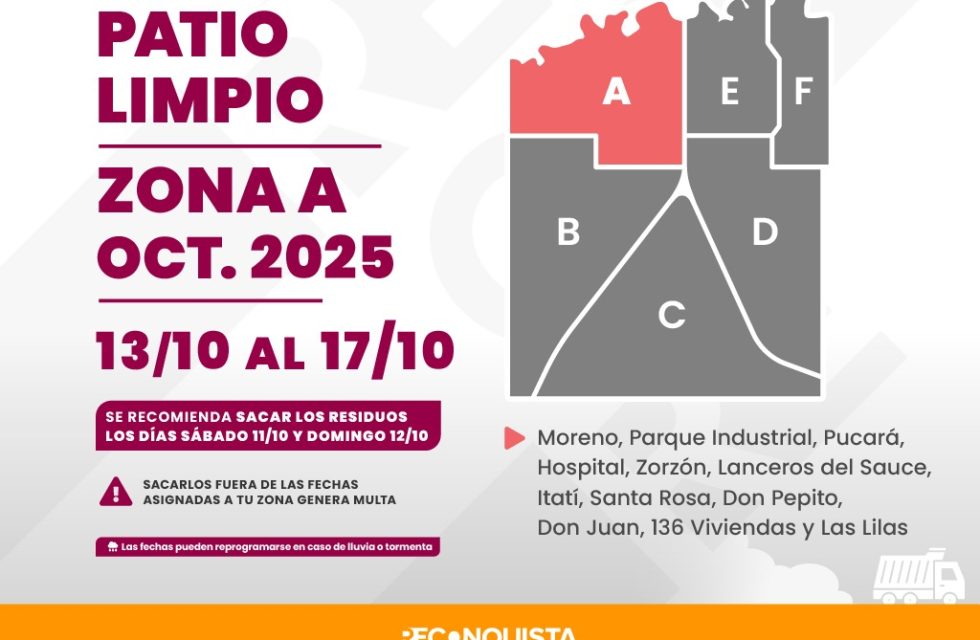 WhatsApp Image 2025-10-11 at 16.31.48