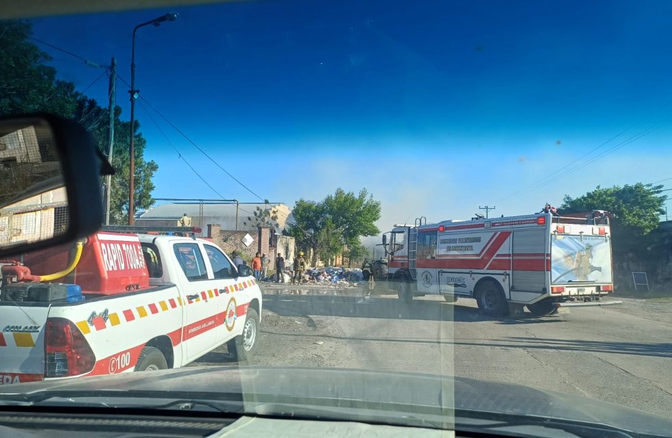 WhatsApp Image 2025-10-14 at 20.06.52