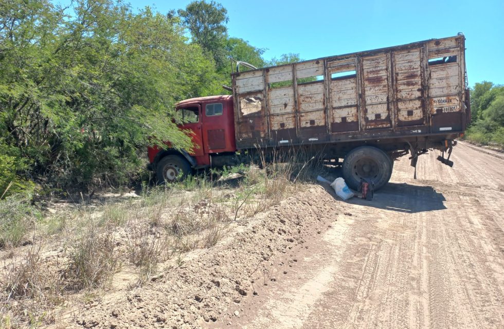 WhatsApp Image 2025-10-15 at 20.18.37