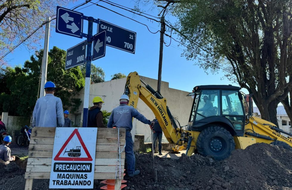 WhatsApp Image 2025-10-20 at 09.41.03