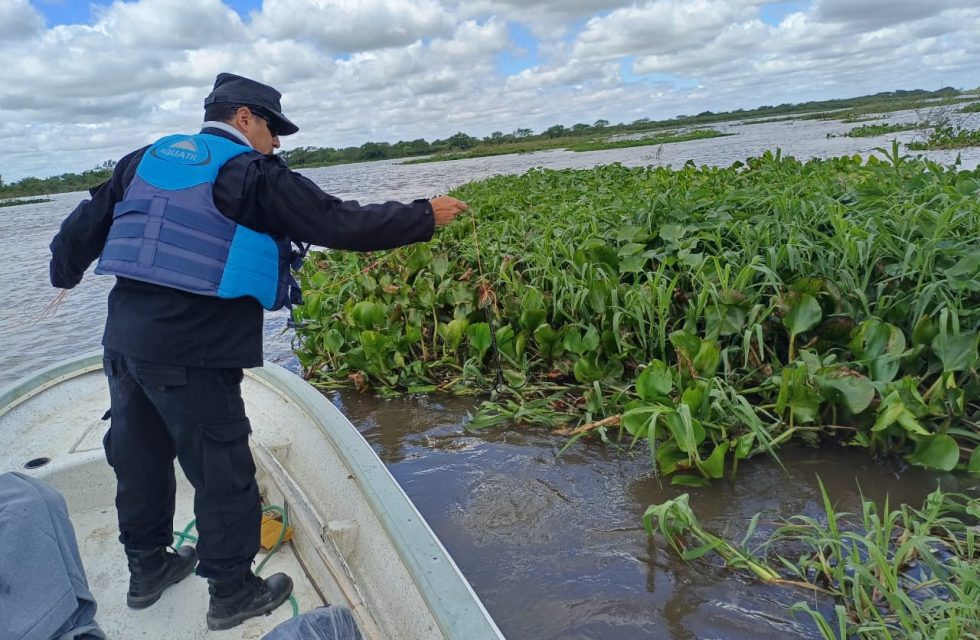 WhatsApp Image 2025-10-29 at 19.59.09