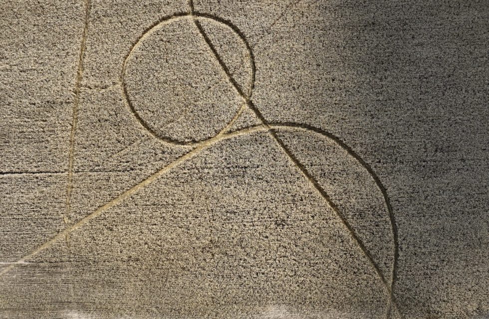 WhatsApp Image 2025-10-30 at 10.18.37