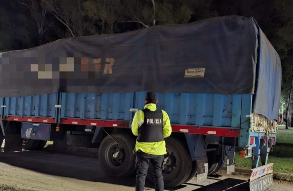 WhatsApp Image 2025-10-30 at 14.22.33