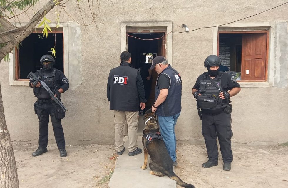 WhatsApp Image 2025-10-30 at 22.51.46