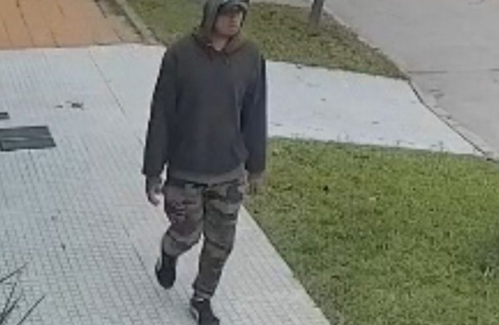 WhatsApp Image 2025-11-08 at 08.03.04