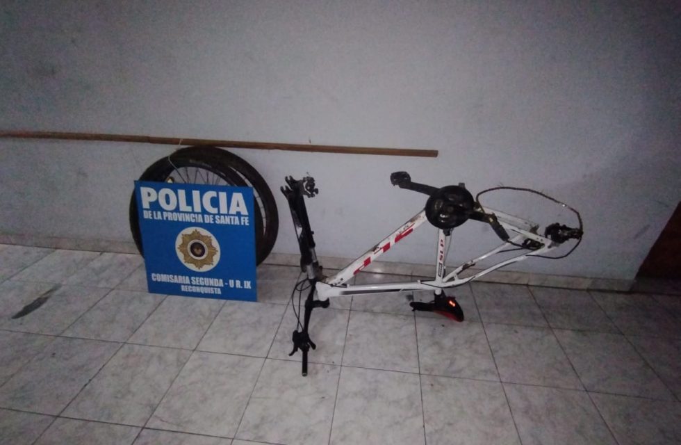 WhatsApp Image 2025-11-08 at 10.10.00