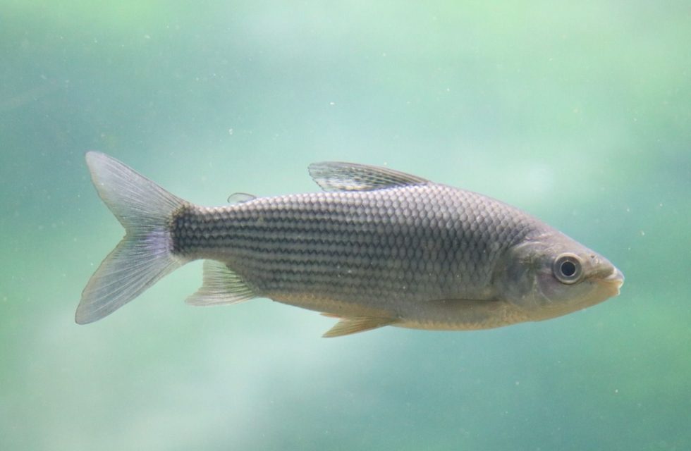 WhatsApp Image 2025-11-09 at 12.21.36