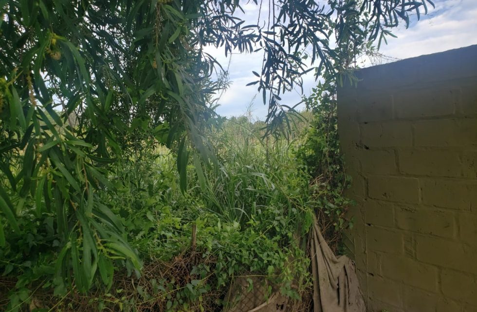 WhatsApp Image 2025-11-13 at 10.18.04