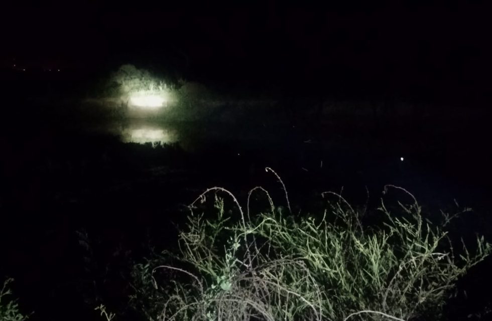 WhatsApp Image 2025-11-14 at 22.19.07