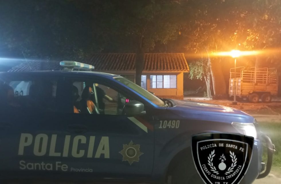 WhatsApp Image 2025-11-15 at 09.29.29