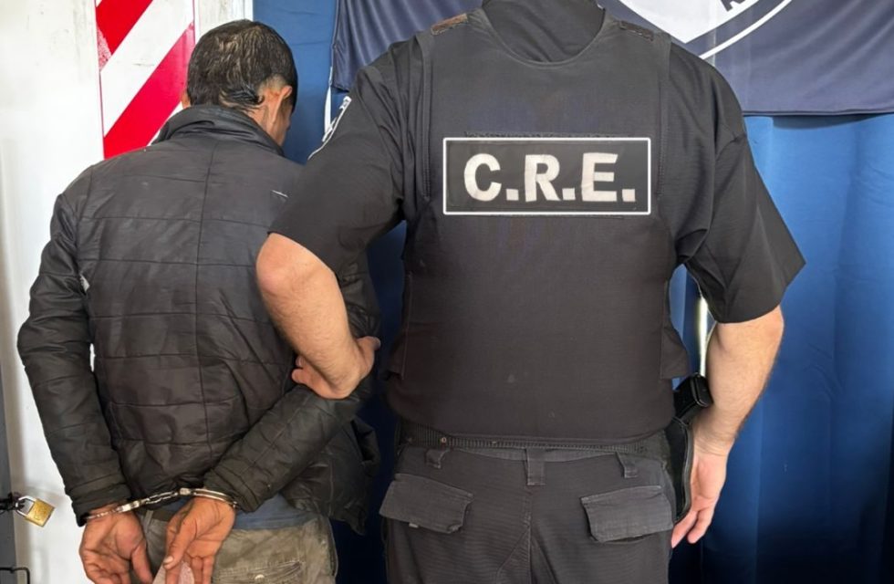 WhatsApp Image 2025-11-22 at 13.14.41