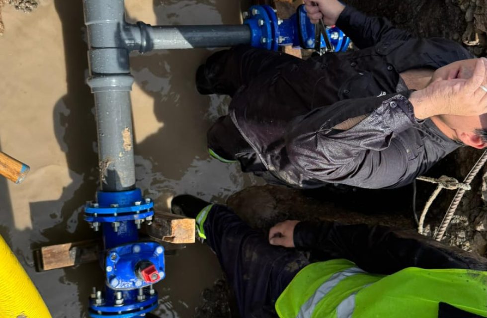 WhatsApp Image 2025-11-29 at 12.03.38