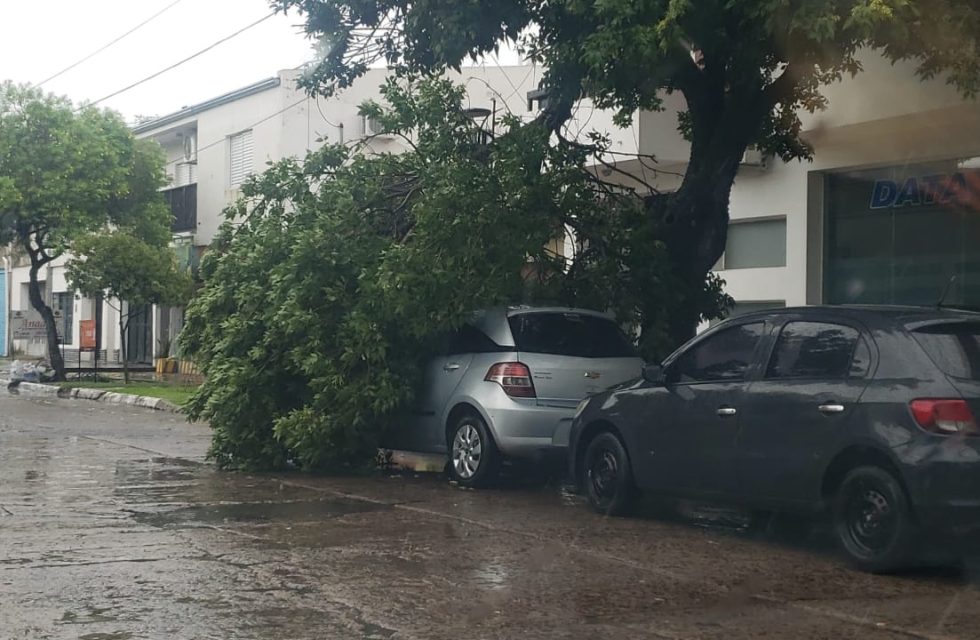 WhatsApp Image 2025-11-30 at 10.28.42