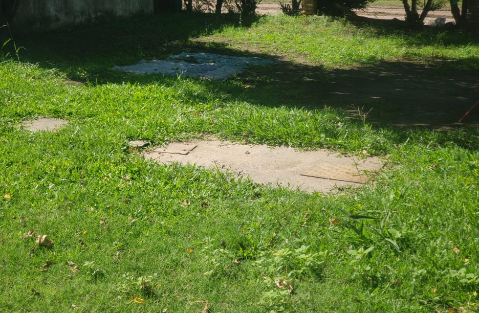 WhatsApp Image 2025-12-16 at 09.41.16