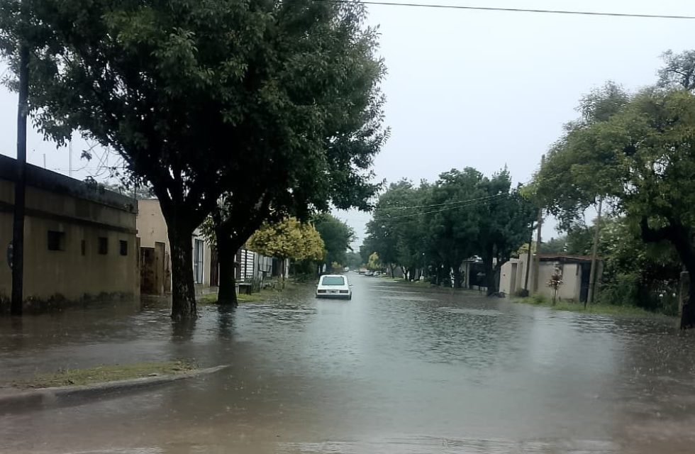 WhatsApp Image 2025-12-28 at 11.11.34