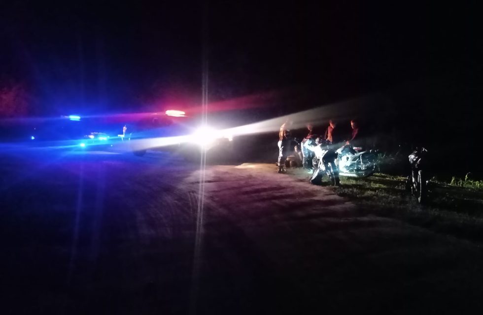 WhatsApp Image 2026-01-04 at 11.01.18