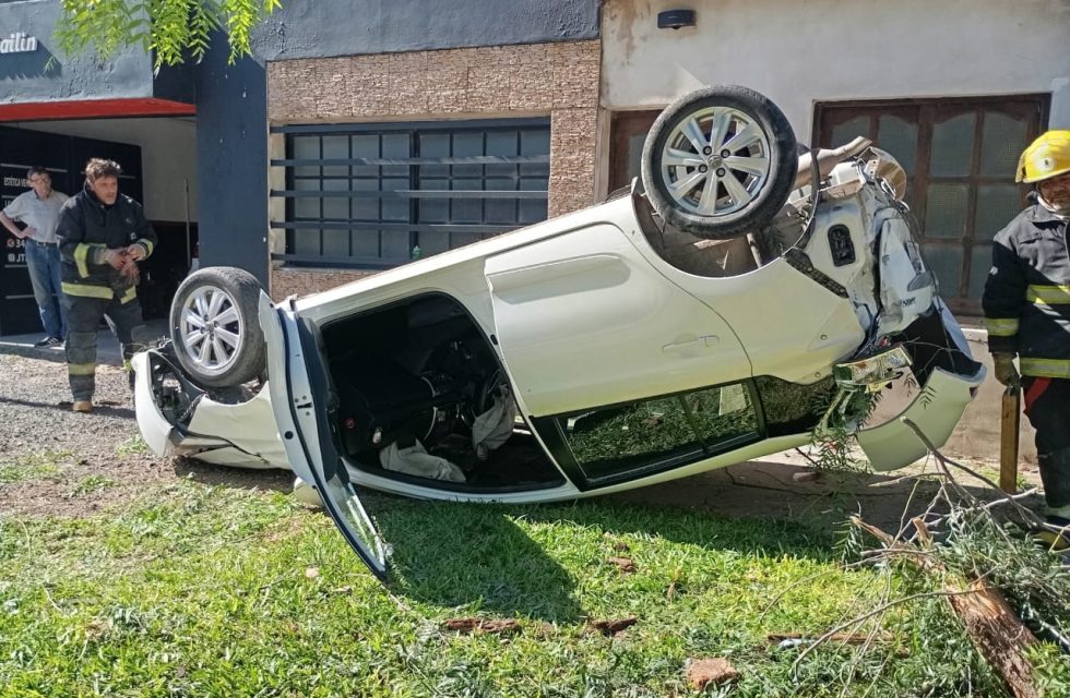 WhatsApp Image 2026-01-20 at 20.09.29