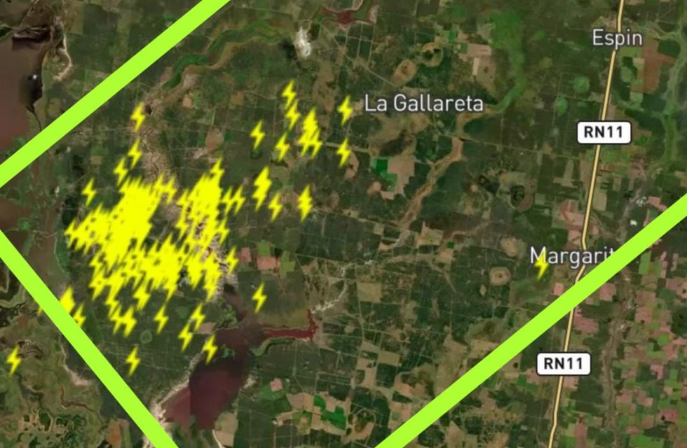 WhatsApp Image 2026-01-31 at 18.09.02