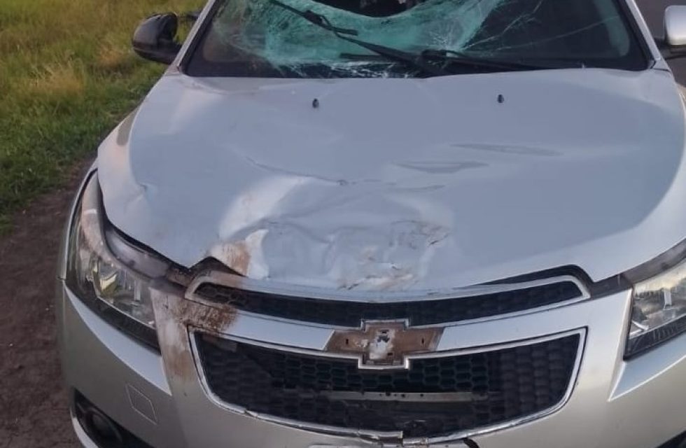 WhatsApp Image 2026-02-08 at 11.27.32