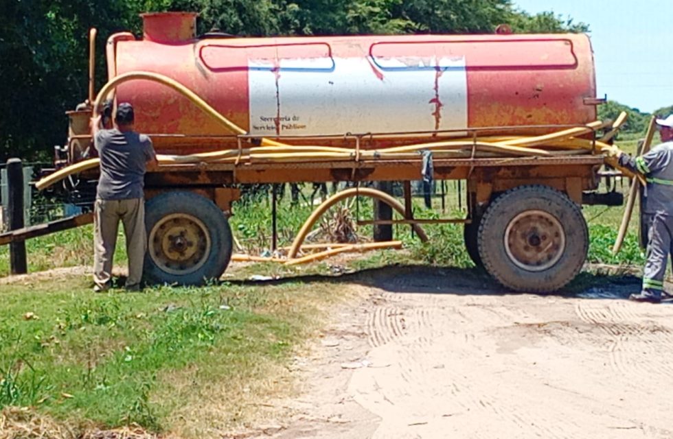 WhatsApp Image 2026-02-11 at 07.10.57